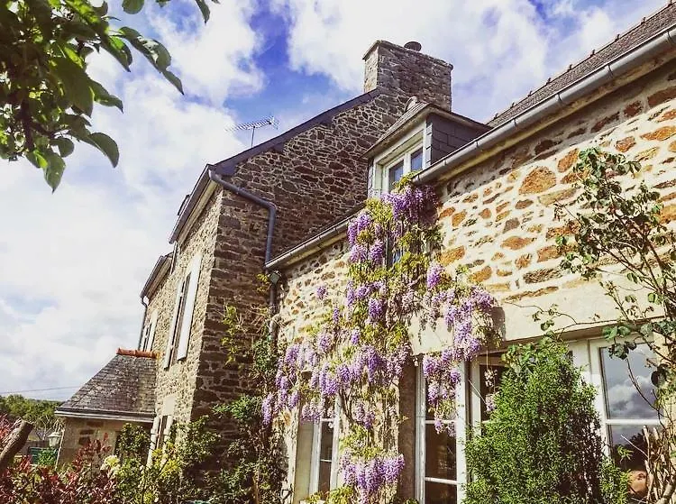 Little Bed And Breakfast Apartment